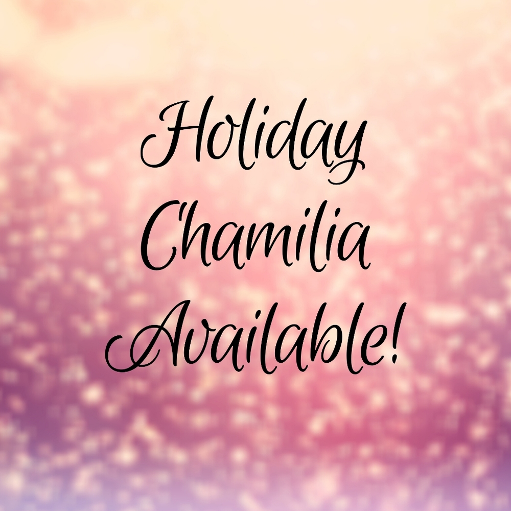 Winter & Holiday Chamilia Charms